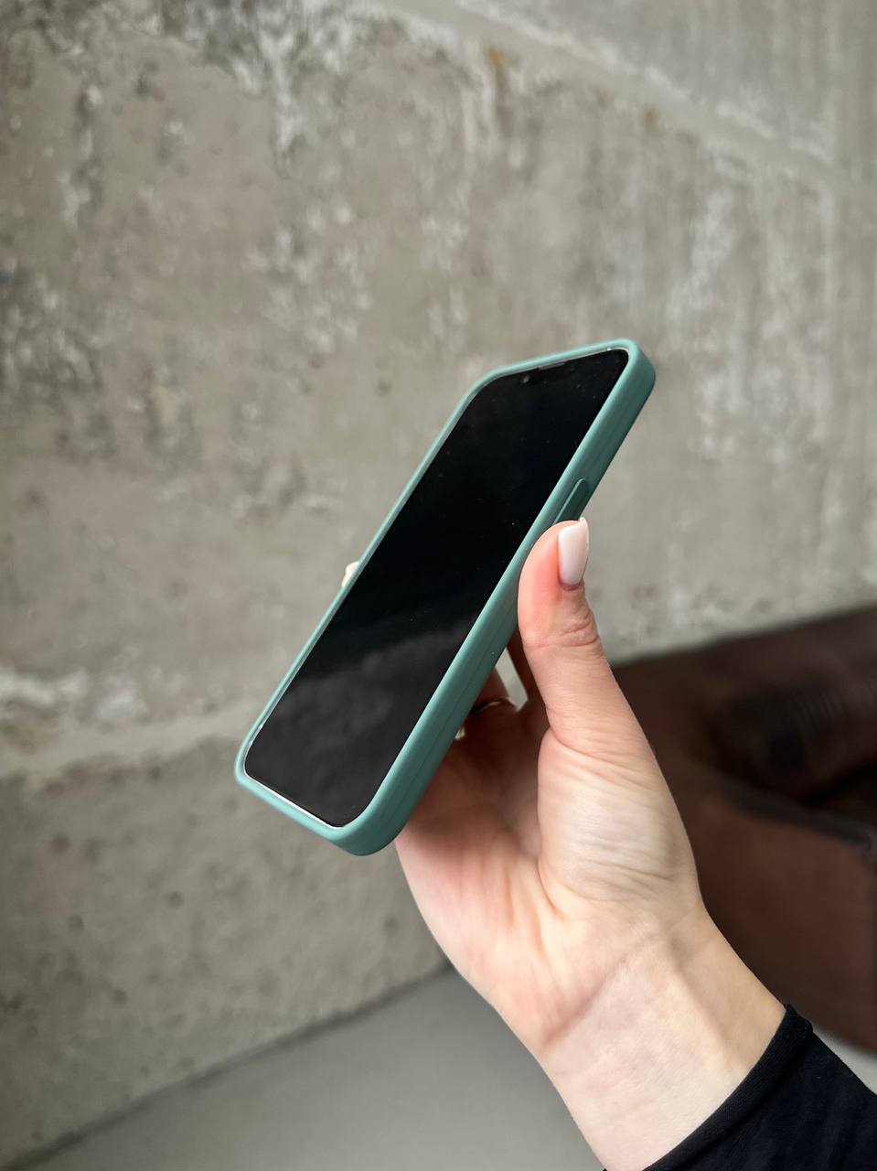 Чохол Silicone case з Magsafe на iPhone 13 Pro Max Eucalyptus (11)