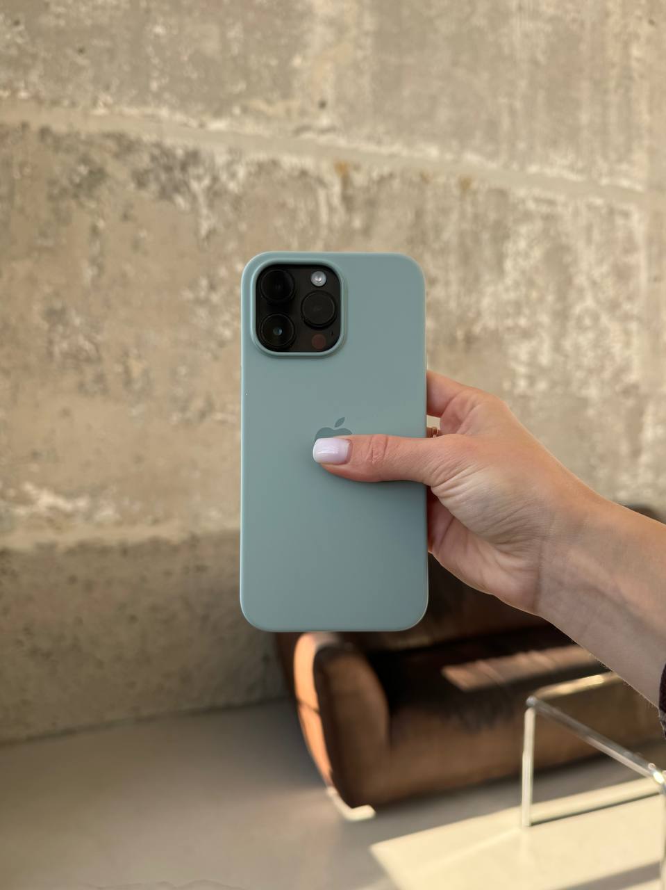 Чохол Silicone case з Magsafe на iPhone 14 Pro Succulent (02)