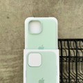Чехол Silicone case с Magsafe на iPhone 15 Light Mint (12)