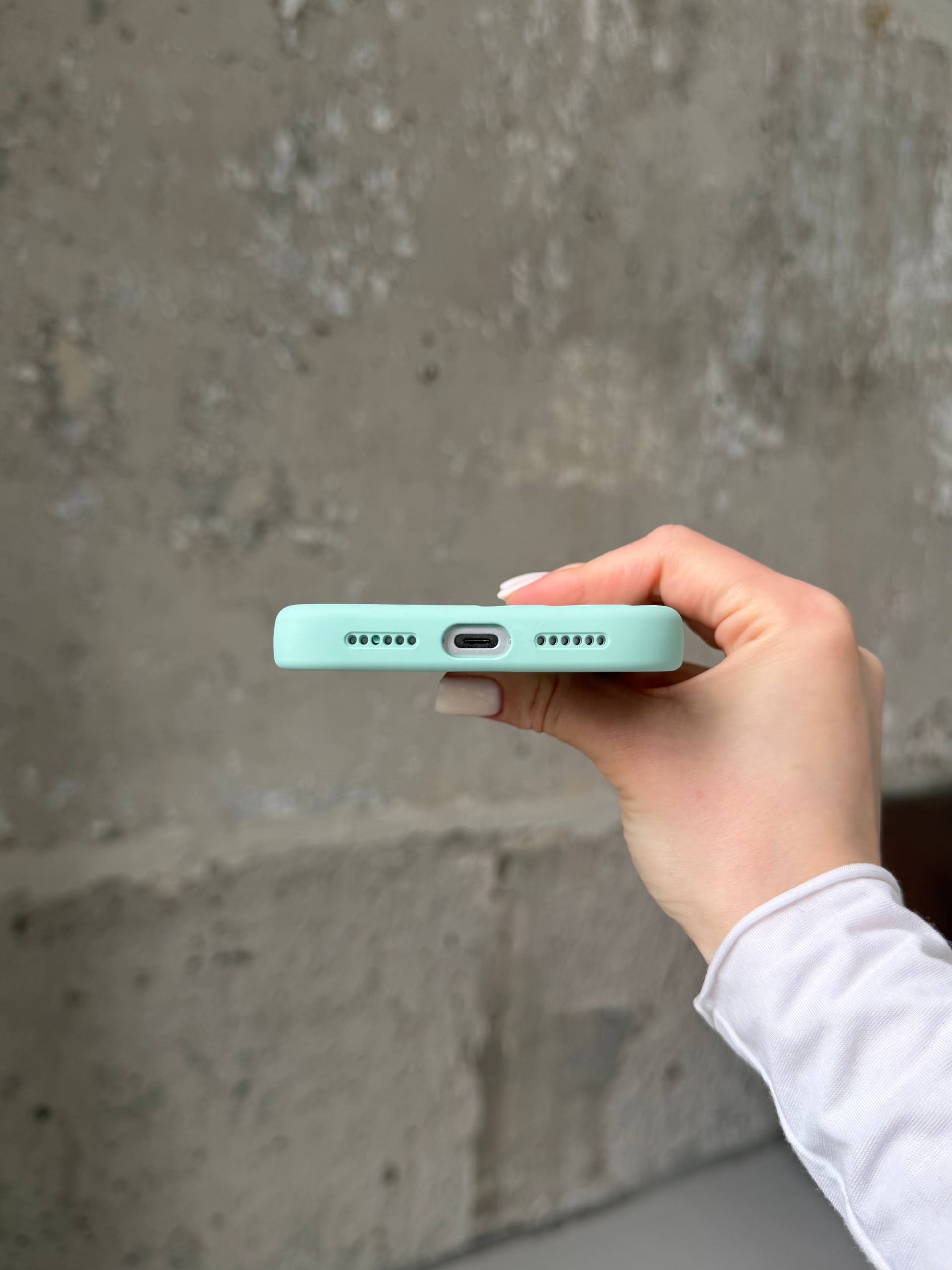 Чохол Flower Silicone Case з Magsafe на iPhone 17 Pro Mint (08)